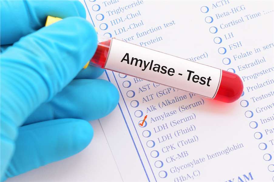 Enzymes for Pharmaceutical Industry