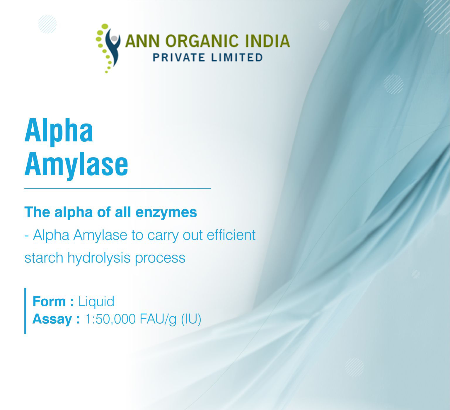 Alpha Amylase Enzyme