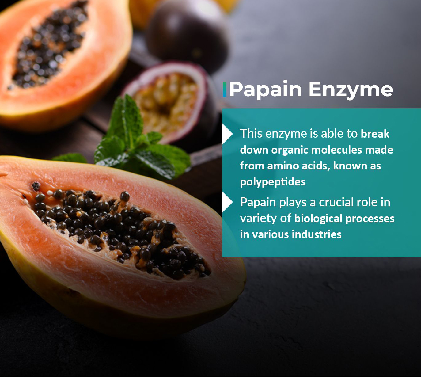 Papain Enzyme Manufacturer