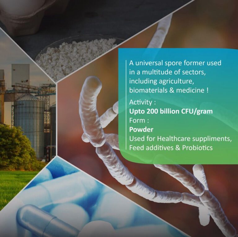 Dextranase Enzyme Manufacturers